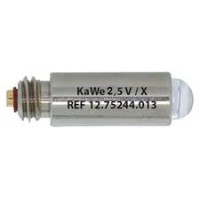 נורה לאוטוסקופ PICOLI  2.5v